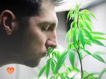 Детоксикация от марихуаны в Аркадаке